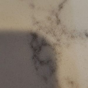 Meet your Posher, Rosalba